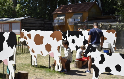 Vrijwilligers gezocht: begeleiding workshops Kinderboerderij