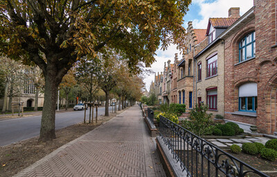 Vernieuwen dolomietstrook Willem De Roolaan