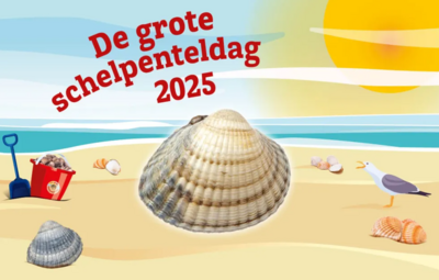 De Grote Schelpenteldag 2023