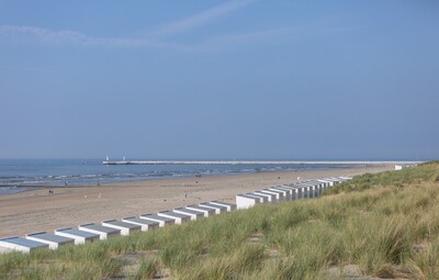 Munitieopsporing op het strand